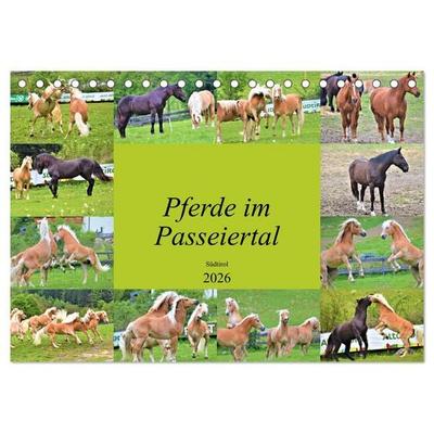 Pferde im Passeiertal (Tischkalender 2026 DIN A5 quer), CALVENDO Monatskalender