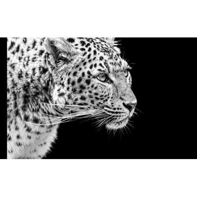Fototapete PAPERMOON "Leopard Schwarz & Weiß", schwarz (schwarz, weiß), B:2m L:1,49m, Vlies, Tapeten