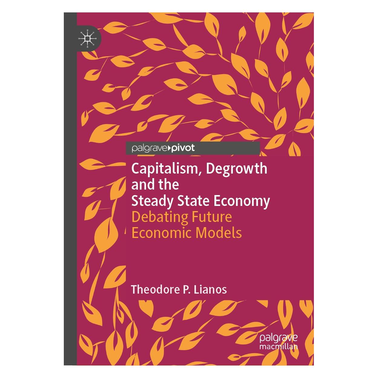 Springer Capitalism, Degrowth and the Steady State Economy (Englisch, Hardcover, Theodore P. Lianos) (9783031602467)