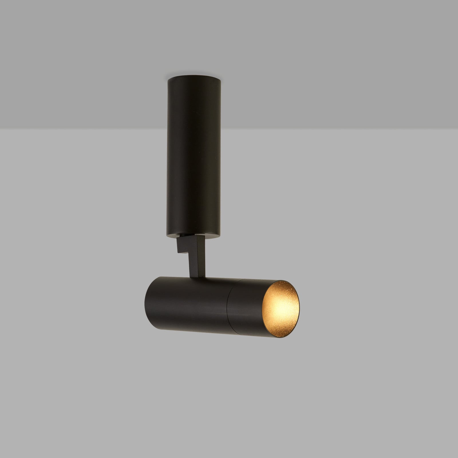 Lyora Andromeda Plafondlamp - Zwart