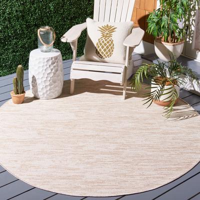 SAFAVIEH Hampton Shelly Indoor/ Outdoor Modern Rug
