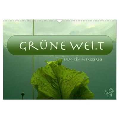 Baggersee - die grüne Welt (Wandkalender 2027 DIN A3 quer), CALVENDO Monatskalender