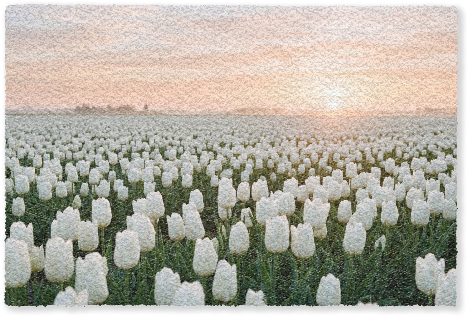 MuchoWow Deurmat Tulpen Landschap Wit - B/D: 90 x 60 cm
