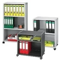 Paperflow, Aktenschrank, Aktenregal Mobil 2 Oh Anthrazi (65.10 x 33 x 86.40 cm)