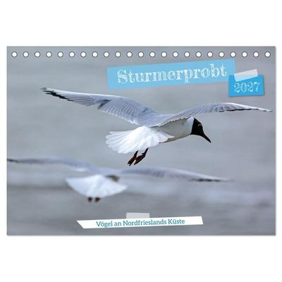 Sturmerprobt - Vögel an Nordfrieslands Küste (Tischkalender 2027 DIN A5 quer), CALVENDO Monatskalender