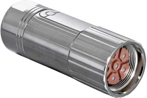 Intercontec Industriesteckverbinder M23 Serie 923 - Leistungssteckverbinder BSTA085FR03480235C00 BSTA085FR03480235C00 Inhalt: 1St.