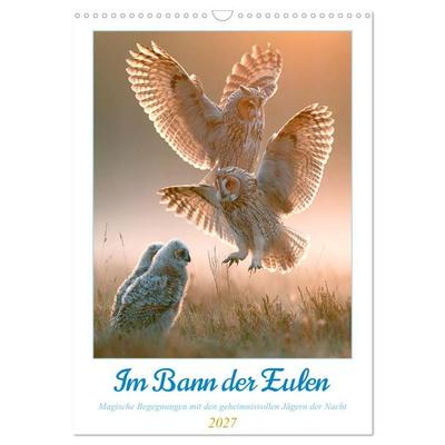 Im Bann der Eulen (Wandkalender 2027 DIN A3 hoch), CALVENDO Monatskalender