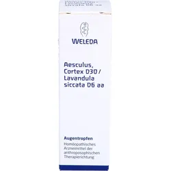 Aesculus D30 Lavan D 6 10 ML