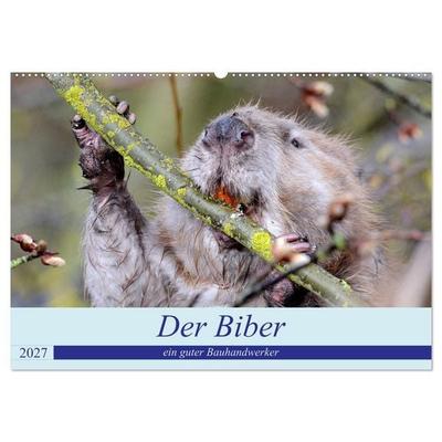 Der Biber, ein guter Bauhandwerker (Wandkalender 2027 DIN A2 quer), CALVENDO Monatskalender