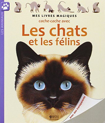 Cache-cache avec les chats et les félins - Preis vom 14.10.2026 23:07:16 h