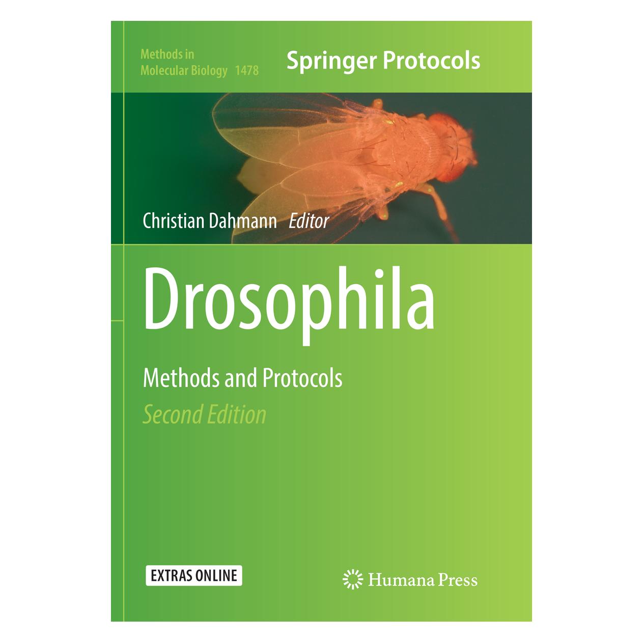 Springer Drosophila (Englisch, Softcover, Christian Dahmann) (56004328)