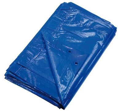 Ribimex Bâche EcoPlatinium opaque 6x10 m 90 g/m2