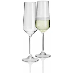 2 Stück Savoy Polycarbonat 290ml Sektglas in Echtglasoptik bruchfest