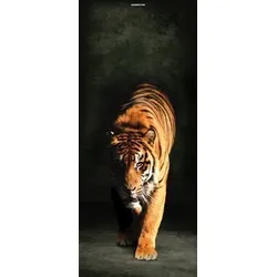Scheurich Türfolie Tiger, für Innen- Außentüren