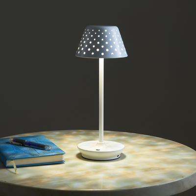 HomeDecorAndMore LLC LED Rechargeable Decorative Bar & Table Lamp Silver