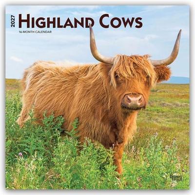 Highland Cows – Hochlandrinder 2027 – 16-Monatskalender