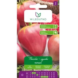 Hohe Freilandtomate (Oxheart) Coeur de Boeuf – sehr große Früchte