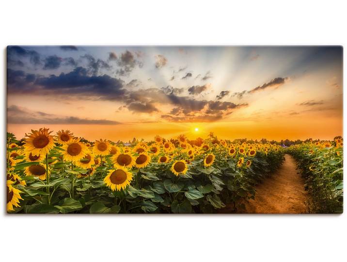 Wandbild ARTLAND Sonnenblumenfeld bei Sonnenuntergang , gelb (farbe bild(er): gelb), B:60cm H:30cm, Bilder, Wandbild, als Alubild, Leinwandbild, Poster in verschied. Grössen