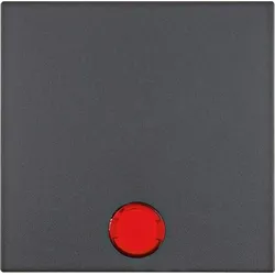 Berker Wippe anth matt 16211606