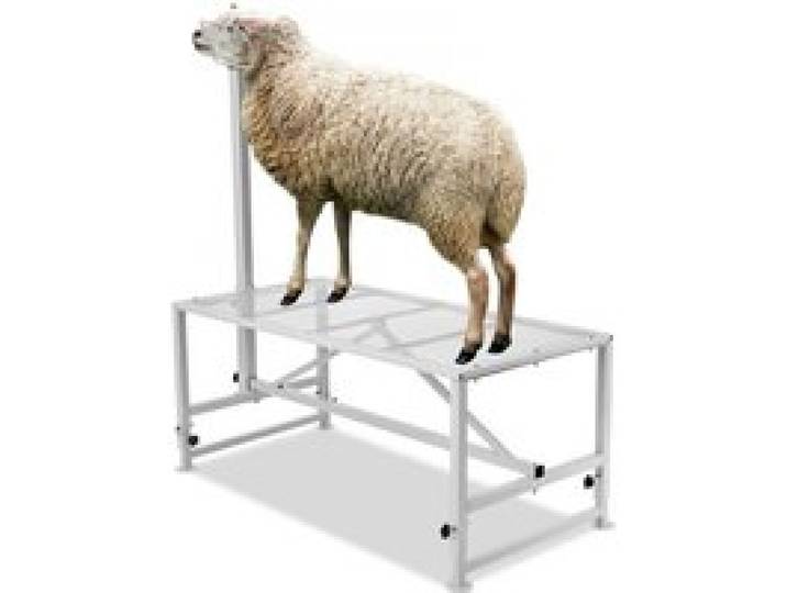 VEVOR Support pour chèvres et moutons, 1195x584 mm, support pour bétail, hauteur réglable 533-838 mm, support en métal pour traite tonte du bétail, charge 226 kg, avec têtière et boucle de nez, blanc