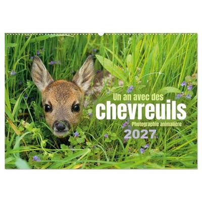 Un an avec des chevreuils (Calendrier mural 2027 DIN A2 vertical), CALVENDO calendrier mensuel