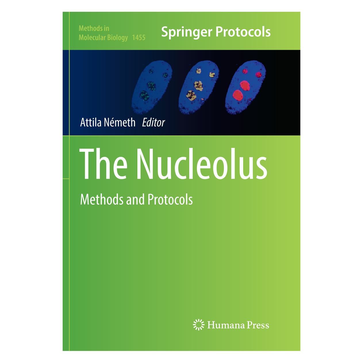 Springer The Nucleolus (Englisch, Softcover, Attila Németh) (56003130)
