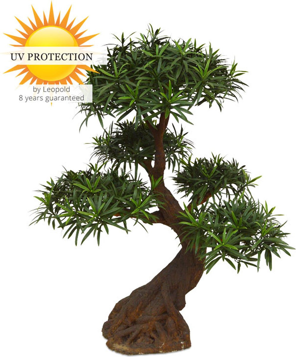 Set van 5 Deluxe kunstplanten Podocarpus Bonsai met UV-bescherming