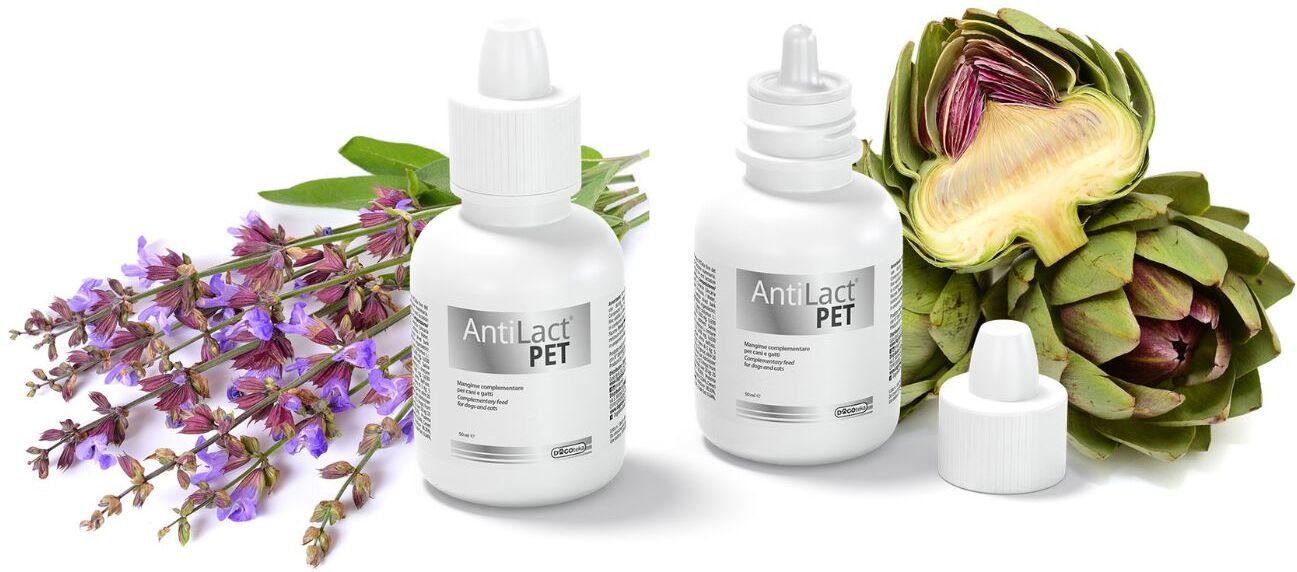 Dogoteka AntiLact Pet 50 ml per Cani e Gatti