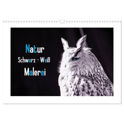 Natur schwarz - weiß Malerei (Wandkalender 2027 DIN A3 quer), CALVENDO Monatskalender