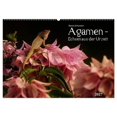 Agamen - Echsen aus der Urzeit (Wandkalender 2027 DIN A2 quer), CALVENDO Monatskalender