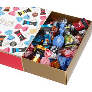 Lindt Minischokolade Bunte Mischung, 70 Stück, 815g