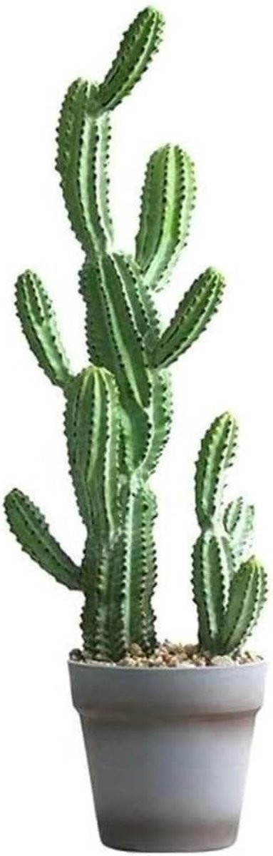 Groene Kunstboom Cactus - UV-bestendige Succulent voor Woondecoratie - Hoogte: 58 cm