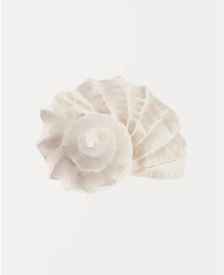 Uplift Treasures Watercolor Sea Shell And Starfish Canvas Wall Art 6 1pc 30x40cm No Frame