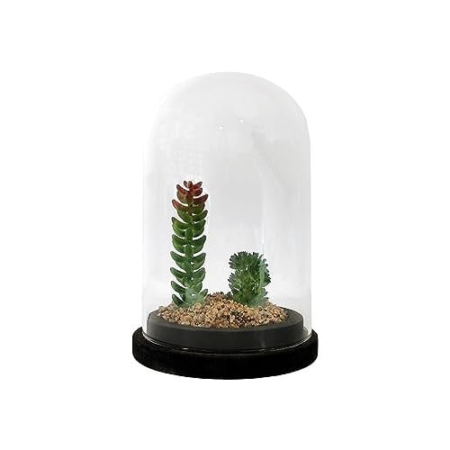 Kunstmatige roos in pot onder glazen klok, Decoratie, 13 x 19 cm