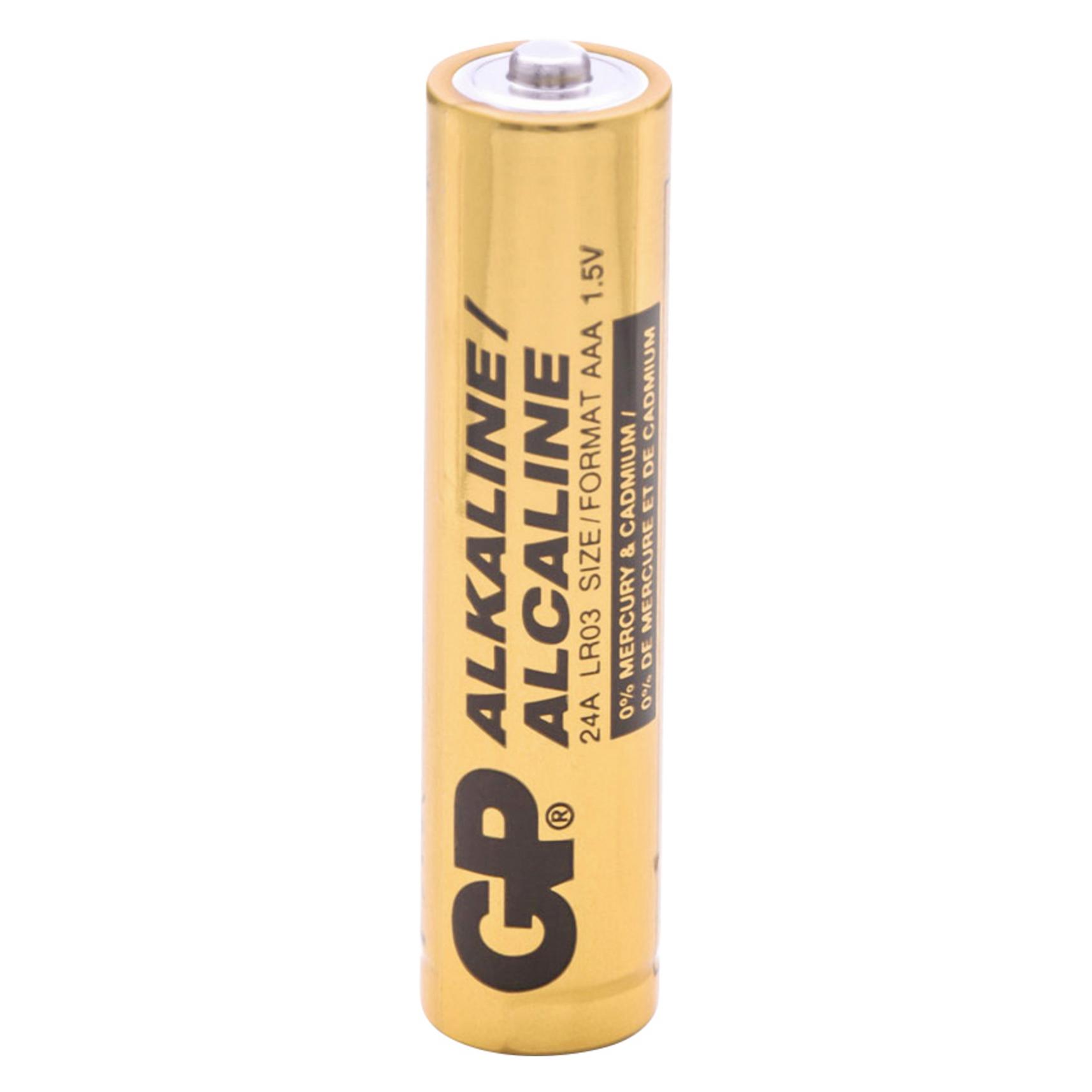 GP Batteries GP GPIND24AB Micro (AAA)-Batterie Alkali-Mangan 1.5 V 1000 St. (AAA) (GNPCA24AS656)