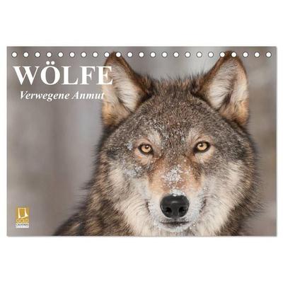 Wölfe. Verwegene Anmut (Tischkalender 2027 DIN A5 quer), CALVENDO Monatskalender