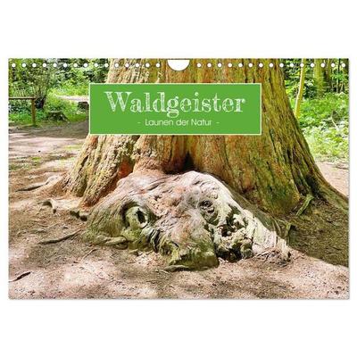 Waldgeister - Launen der Natur (Wandkalender 2026 DIN A4 quer), CALVENDO Monatskalender