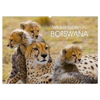Wildes Leben in Botswana (Wandkalender 2027 DIN A2 quer), CALVENDO Monatskalender