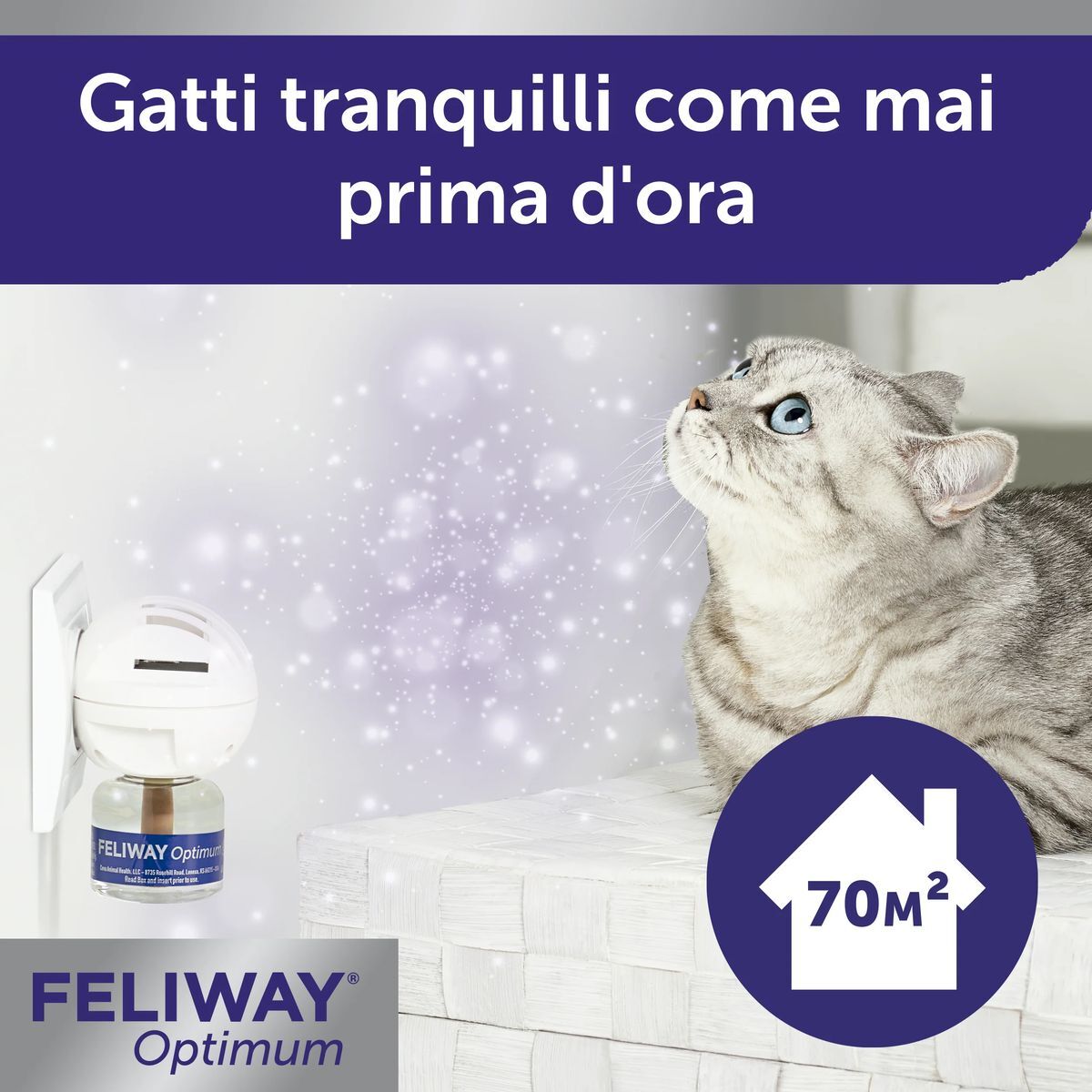 Feliway Optimum Ricarica RICARICA 1PZ