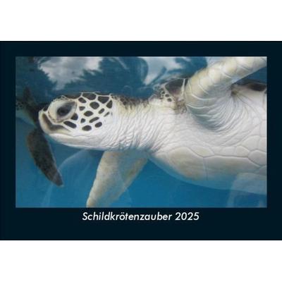 Schildkrötenzauber 2025 Fotokalender DIN A5