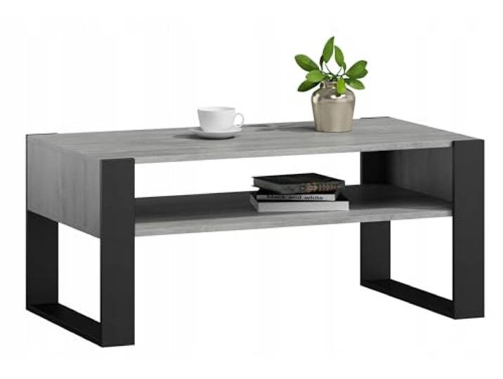 MATKAM Couchtisch KAJA H50 x B120 x T63,6 cm, offenes Regal unter der Arbeitsplatte, praktische Eleganz und Funktionalität, Retro-Loft (Beton-Schwarz)