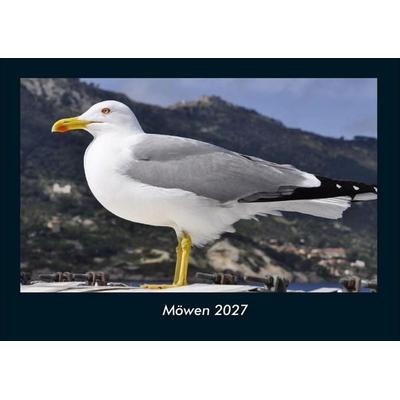 Möwen 2027 Fotokalender DIN A4