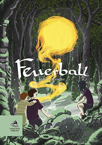 Hannes Hörndler - Feuerball - Preis vom 18.10.2026 15:28:09 h