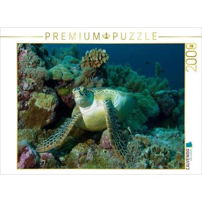 CALVENDO Puzzle Unterwasserfotografie einer Meeresschildkröte in einem Korallenriff vor Palau | 2000 Teile Lege-Größe 90 × 67 cm Foto-Puzzle für