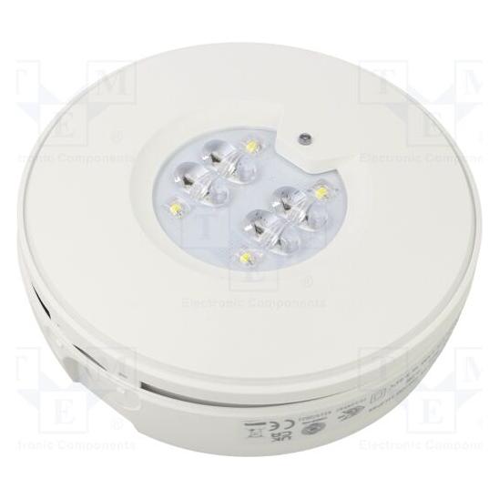 Eaton Oprawa awaryjna Roundtech natynkowa optyka otwarta 150lm NM 1H IP44 RT2SSO150SA1H (RT2SSO150SA1H)