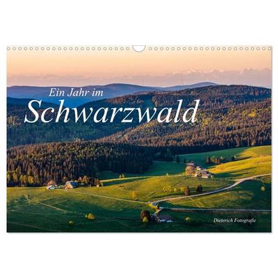 Ein Jahr im Schwarzwald (Wandkalender 2026 DIN A3 quer), CALVENDO Monatskalender