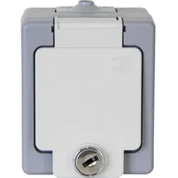 Kopp 105648002 STANDARD - Schutzkontakt-Steckdose, Klappdeckel, abschließbar, Farbe: grau