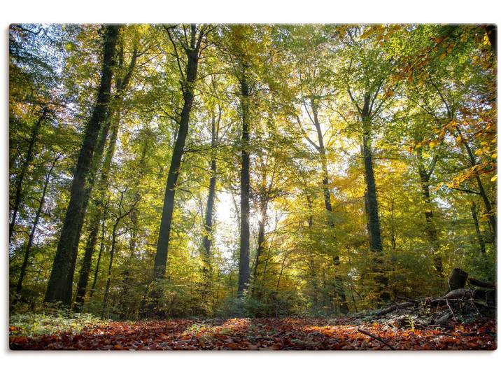 Leinwandbild ARTLAND Laubwald zum Herbst , grün (farbe bild(er): grün), B:120cm H:80cm, Bilder, Leinwandbild, auf Holzrahmen gespannt