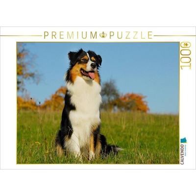 CALVENDO Puzzle Ein Motiv aus dem Kalender Bekannt wie ein bunter Hund. Australian Shepherd - Familienplaner hoch | 1000 Teile Lege-Größe 64x48cm Foto