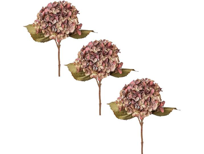 Creativ green Hortensie